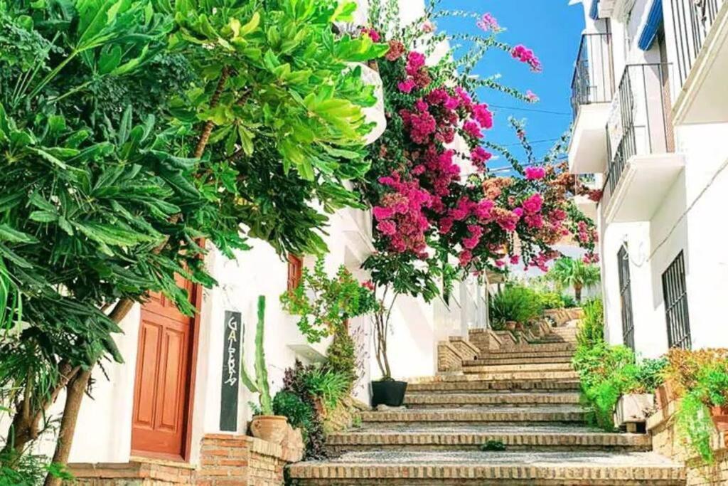 Casa La Romana ซาโลเบรญา ภายนอก รูปภาพ